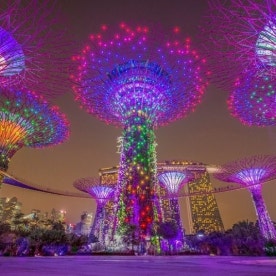 Singapore Value package